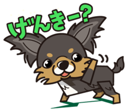 iinu  - Long Coat Chihuahua sticker #1855302