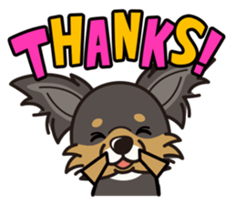 iinu  - Long Coat Chihuahua sticker #1855303