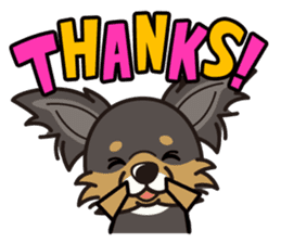 iinu - Long Coat Chihuahua sticker #1855303