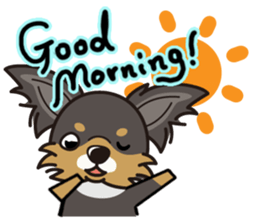 iinu  - Long Coat Chihuahua sticker #1855307