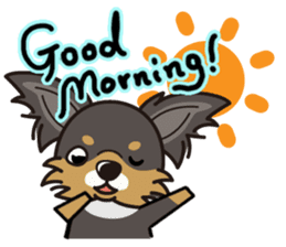 iinu - Long Coat Chihuahua sticker #1855307