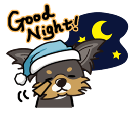 iinu  - Long Coat Chihuahua sticker #1855308