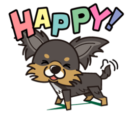 iinu  - Long Coat Chihuahua sticker #1855309