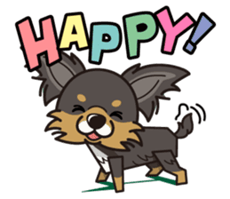 iinu - Long Coat Chihuahua sticker #1855309