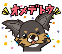 iinu  - Long Coat Chihuahua sticker #1855310