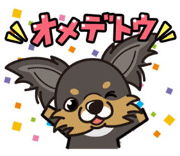 iinu - Long Coat Chihuahua sticker #1855310
