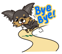 iinu - Long Coat Chihuahua sticker #1855311