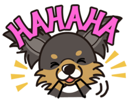 iinu  - Long Coat Chihuahua sticker #1855312