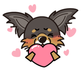 iinu  - Long Coat Chihuahua sticker #1855314