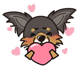 iinu - Long Coat Chihuahua sticker #1855314