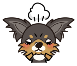 iinu  - Long Coat Chihuahua sticker #1855316