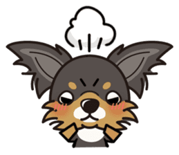 iinu - Long Coat Chihuahua sticker #1855316