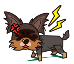 iinu  - Long Coat Chihuahua sticker #1855317