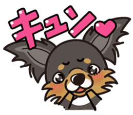 iinu - Long Coat Chihuahua sticker #1855320