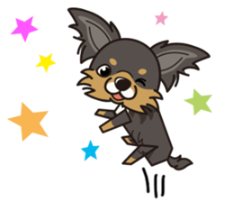 iinu  - Long Coat Chihuahua sticker #1855323