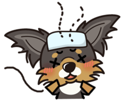 iinu  - Long Coat Chihuahua sticker #1855324