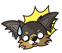 iinu  - Long Coat Chihuahua sticker #1855325