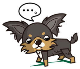 iinu - Long Coat Chihuahua sticker #1855326