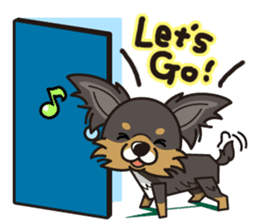 iinu - Long Coat Chihuahua sticker #1855327