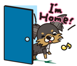 iinu  - Long Coat Chihuahua sticker #1855328