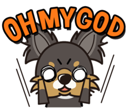 iinu  - Long Coat Chihuahua sticker #1855329