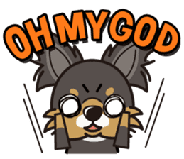 iinu - Long Coat Chihuahua sticker #1855329