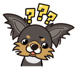 iinu  - Long Coat Chihuahua sticker #1855330