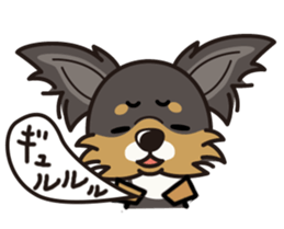 iinu  - Long Coat Chihuahua sticker #1855333