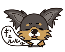 iinu - Long Coat Chihuahua sticker #1855333