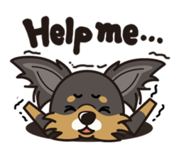 iinu  - Long Coat Chihuahua sticker #1855336