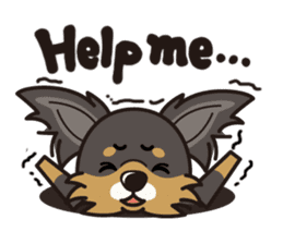 iinu - Long Coat Chihuahua sticker #1855336