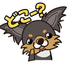 iinu  - Long Coat Chihuahua sticker #1855337