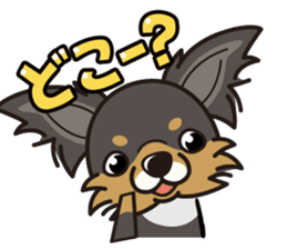 iinu - Long Coat Chihuahua sticker #1855337