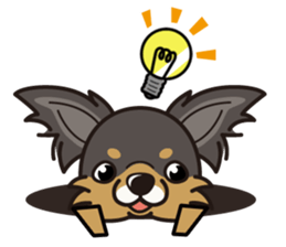 iinu  - Long Coat Chihuahua sticker #1855339