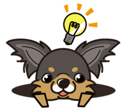 iinu - Long Coat Chihuahua sticker #1855339