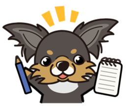 iinu  - Long Coat Chihuahua sticker #1855340