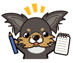 iinu - Long Coat Chihuahua sticker #1855340