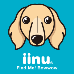 iinu - Miniature Dachshund