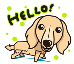 iinu - Miniature Dachshund sticker #1855542