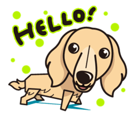 iinu - Miniature Dachshund sticker #1855542