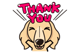 iinu - Miniature Dachshund sticker #1855543