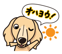 iinu - Miniature Dachshund sticker #1855547