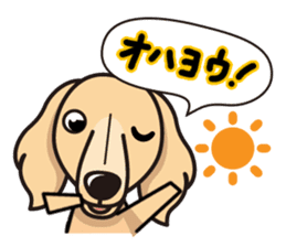 iinu - Miniature Dachshund sticker #1855547