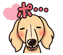 iinu - Miniature Dachshund sticker #1855549