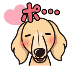 iinu - Miniature Dachshund sticker #1855549