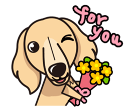 iinu - Miniature Dachshund sticker #1855550