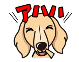 iinu - Miniature Dachshund sticker #1855552