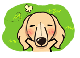 iinu - Miniature Dachshund sticker #1855553