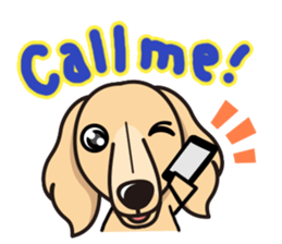 iinu - Miniature Dachshund sticker #1855555