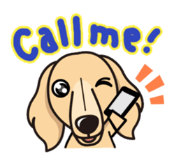 iinu - Miniature Dachshund sticker #1855555